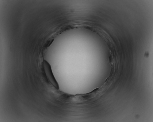 X0000101950372200807171138