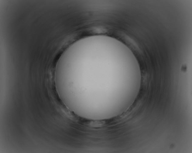 X0000101950373200807171138