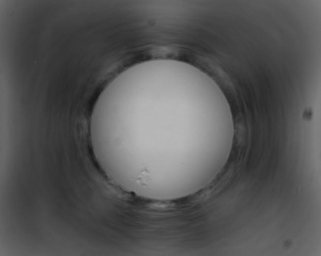 X0000101950375200807171138