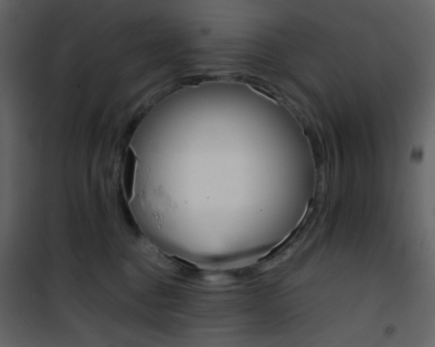X0000101950376200807171138