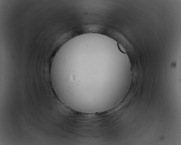 X0000101950377200807171138