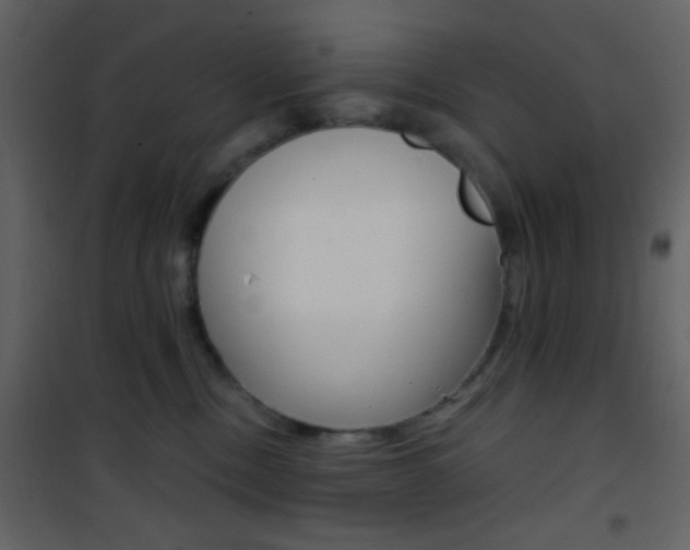 X0000101950378200807171139