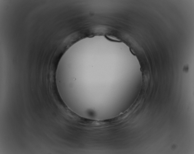 X0000101950379200807171139