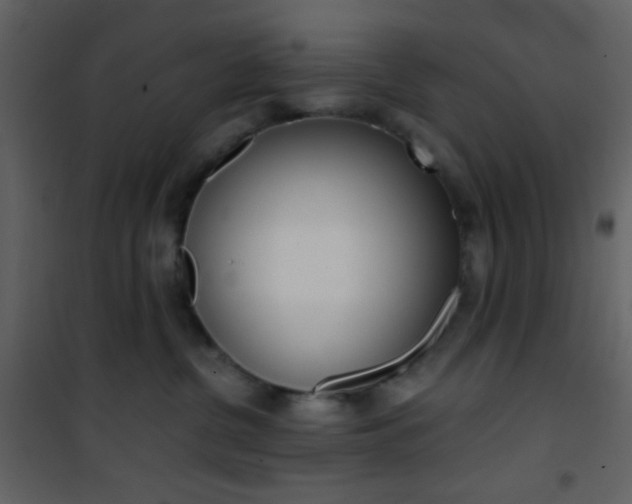 X0000101950380200807171139