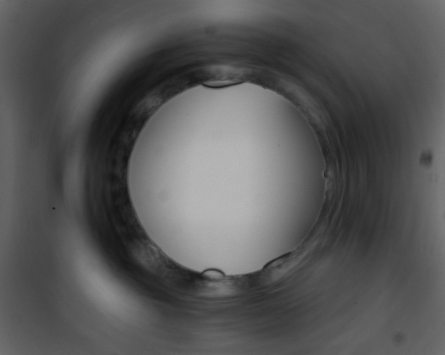 X0000101950381200807171139