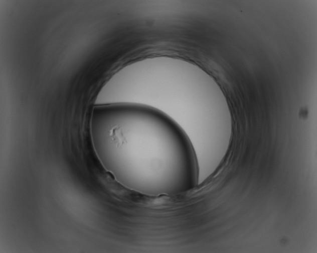 X0000101950382200807171139