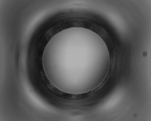X0000101950383200807171139