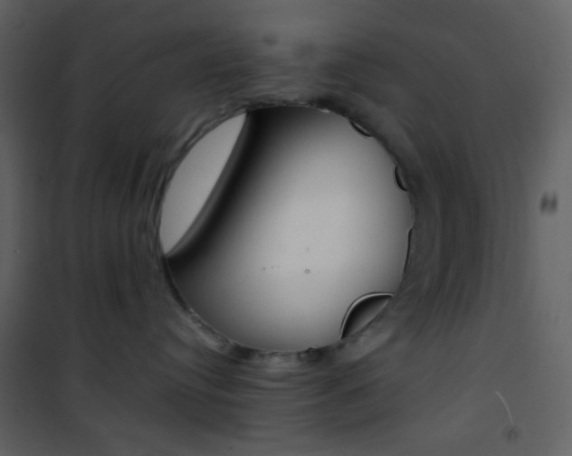 X0000101950384200807171139