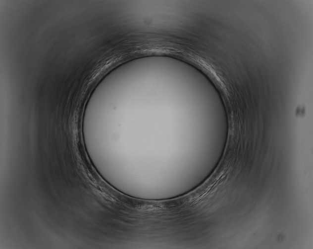 X0000101950386200807171138