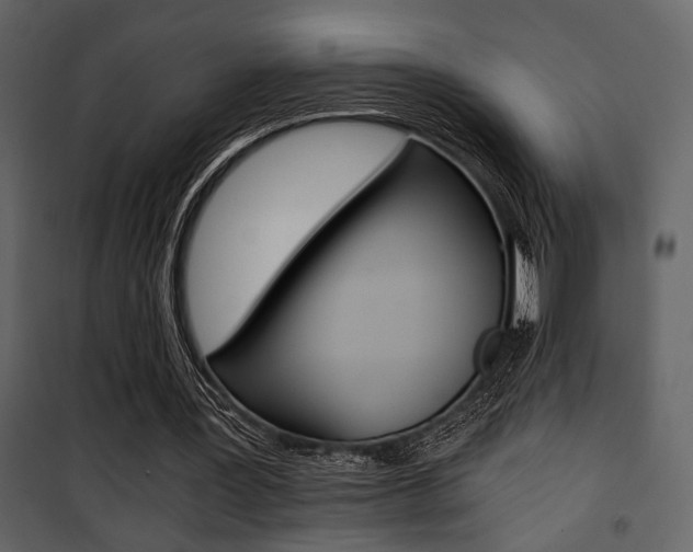 X0000101950387200807171138
