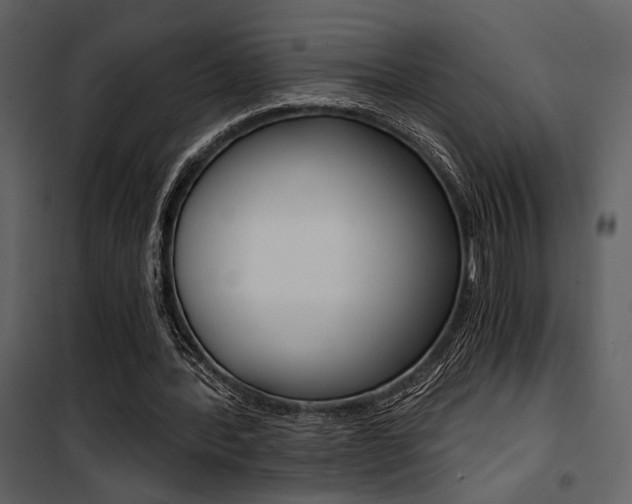 X0000101950388200807171138