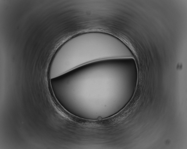 X0000101950389200807171138