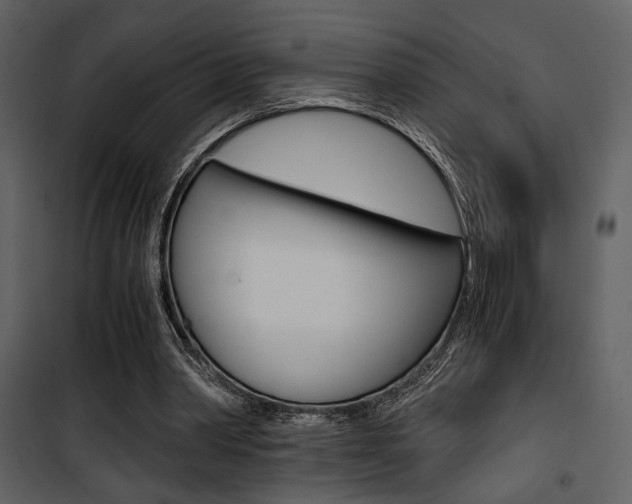 X0000101950390200807171138