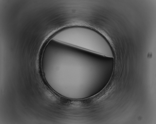 X0000101950391200807171138