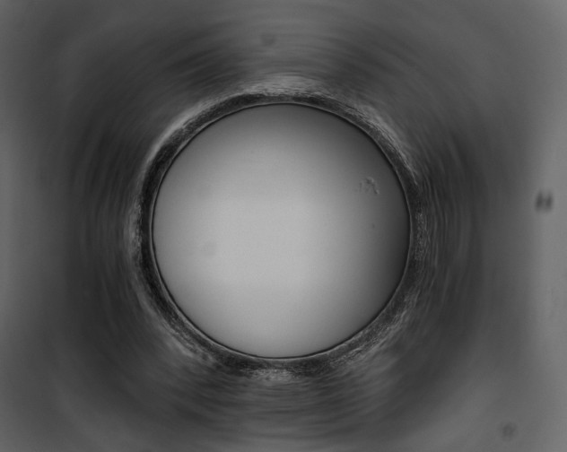 X0000101950392200807171138