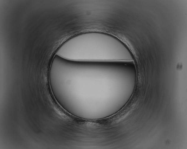 X0000101950393200807171138