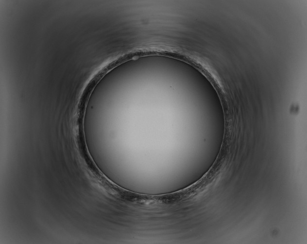 X0000101950395200807171138