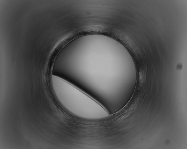X0000101950396200807171138