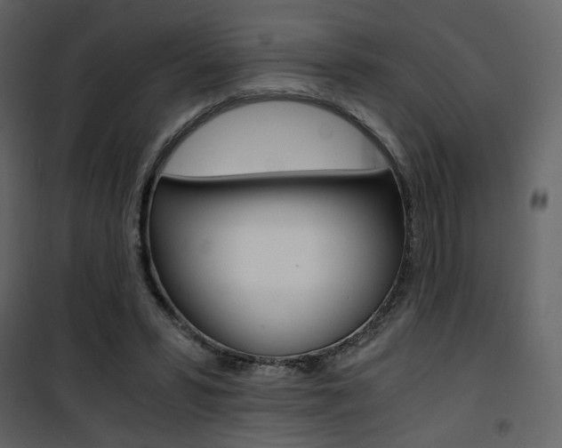 X0000101950399200807171138