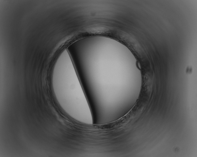 X0000101950400200807171138
