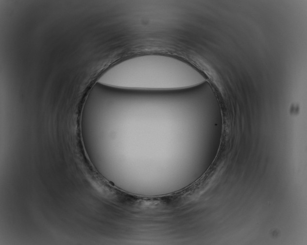 X0000101950401200807171138