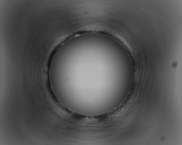 X0000101950403200807171137