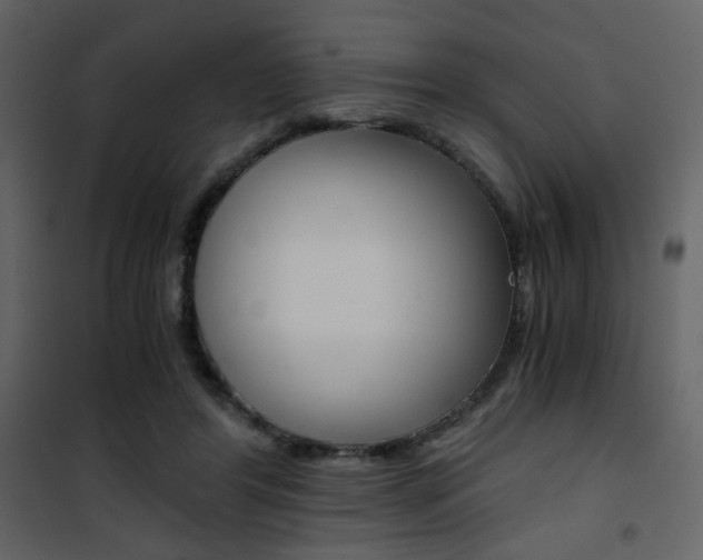 X0000101950404200807171137