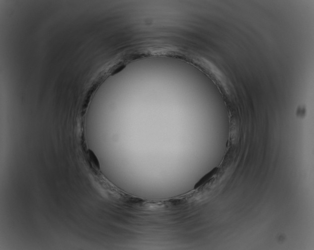 X0000101950405200807171137