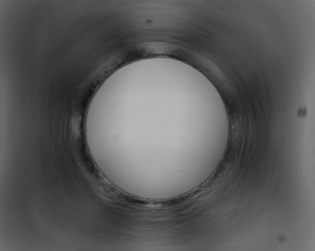 X0000101950406200807171137