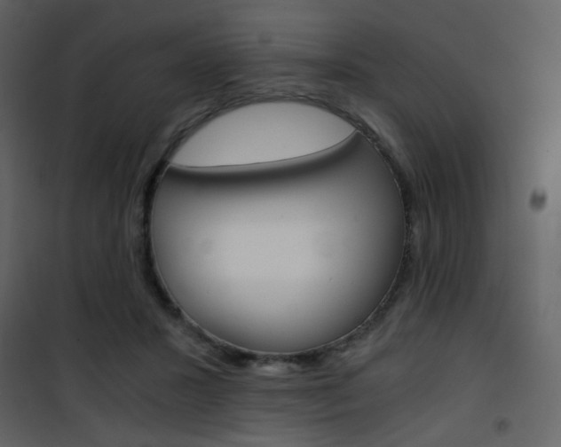 X0000101950407200807171137