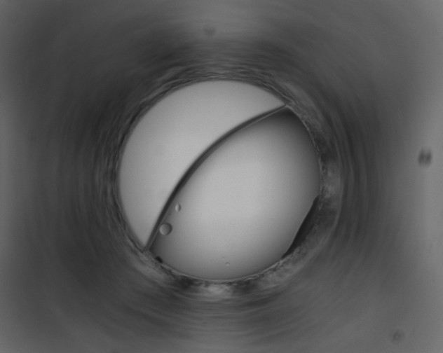X0000101950409200807171137