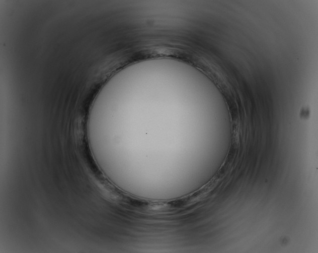 X0000101950410200807171137