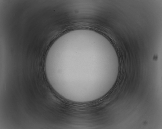 X0000101950411200807171137