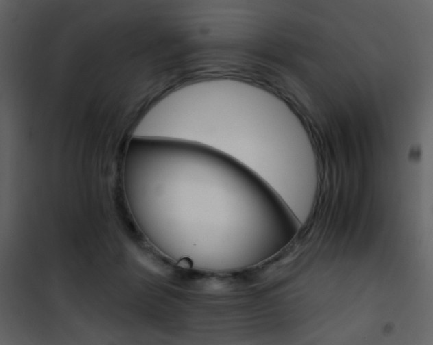 X0000101950412200807171137