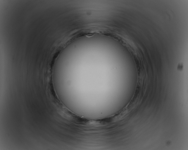 X0000101950413200807171137