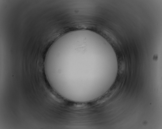 X0000101950414200807171137