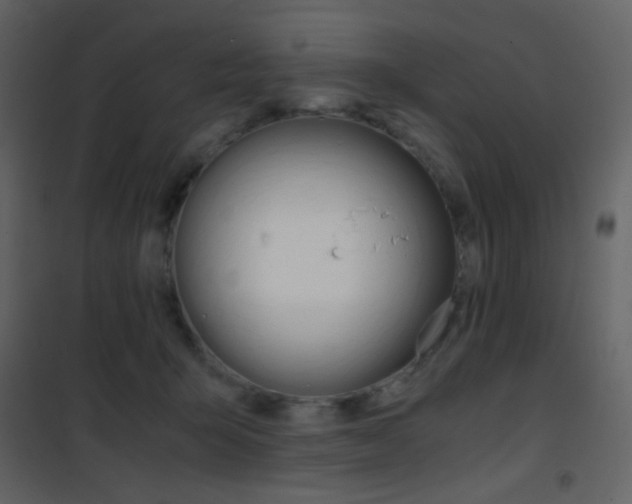 X0000101950415200807171137