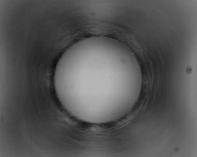 X0000101950416200807171137