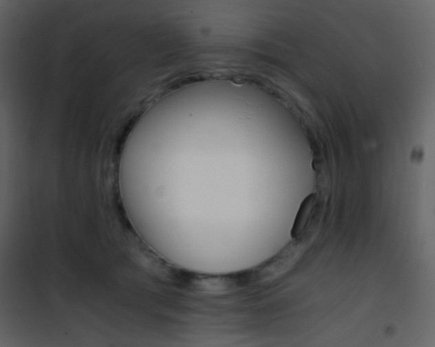 X0000101950417200807171137