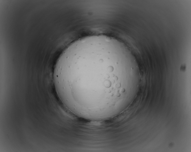 X0000101950418200807171137