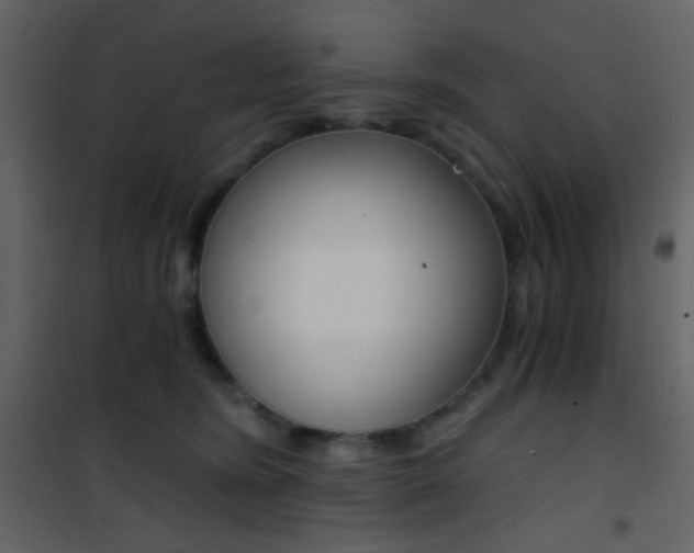 X0000101950420200807171137