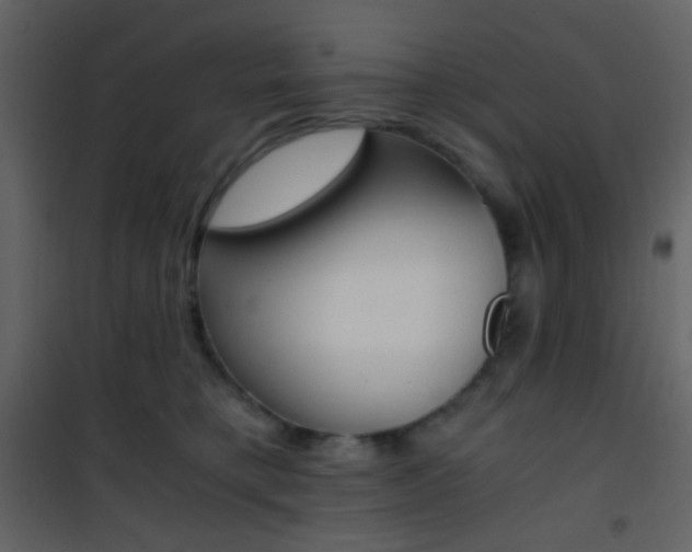 X0000101950421200807171137