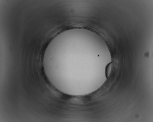 X0000101950422200807171137