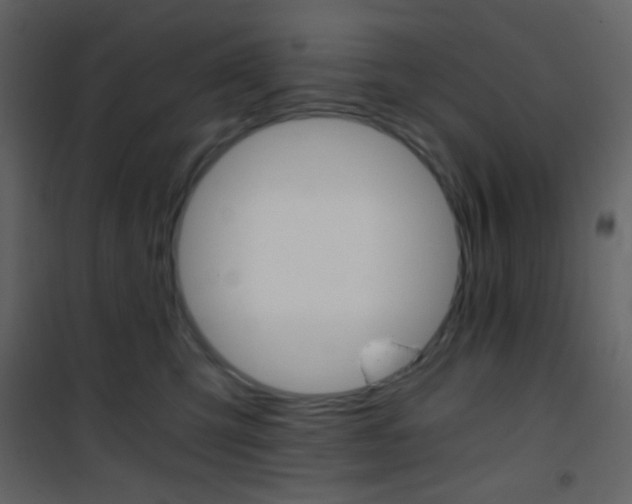 X0000101950423200807171137