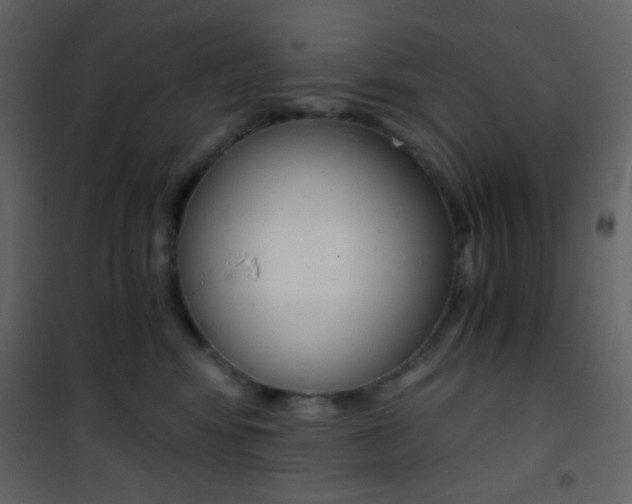 X0000101950424200807171137