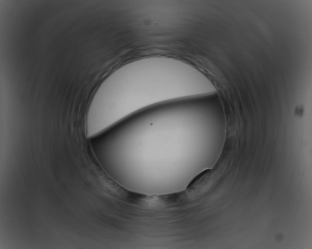 X0000101950425200807171137