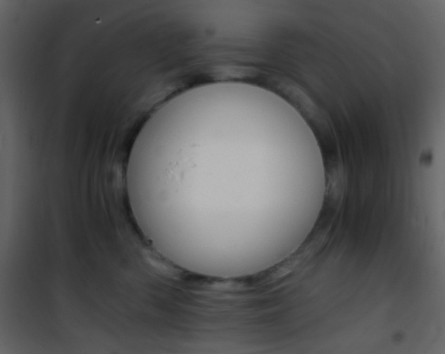 X0000101950426200807171137