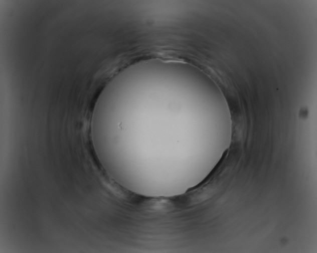 X0000101950427200807171137