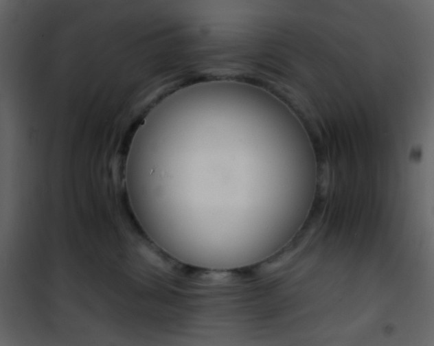 X0000101950428200807171137
