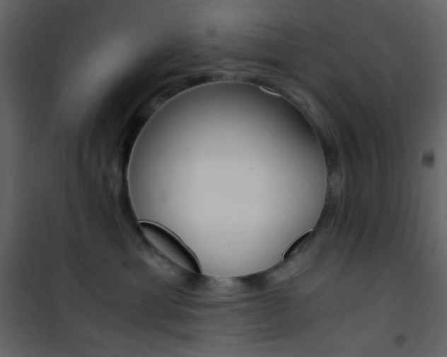X0000101950429200807171137